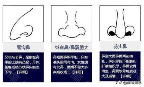 鼻子大 面相|鼻头大面相 鼻头大面相好不好